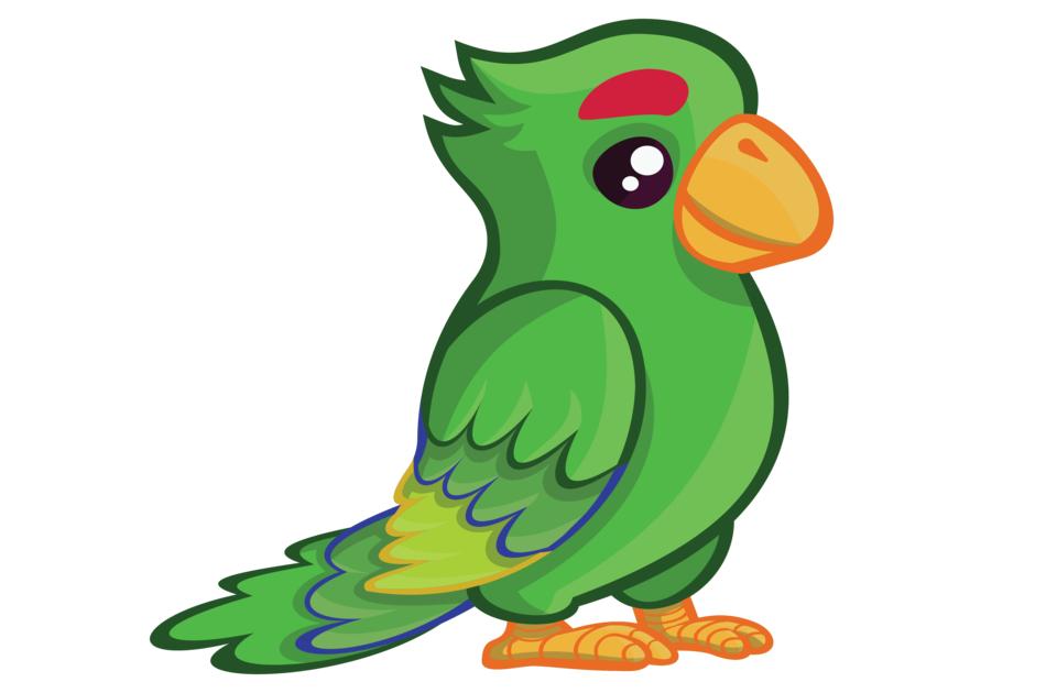 bird parrot wildlife animal