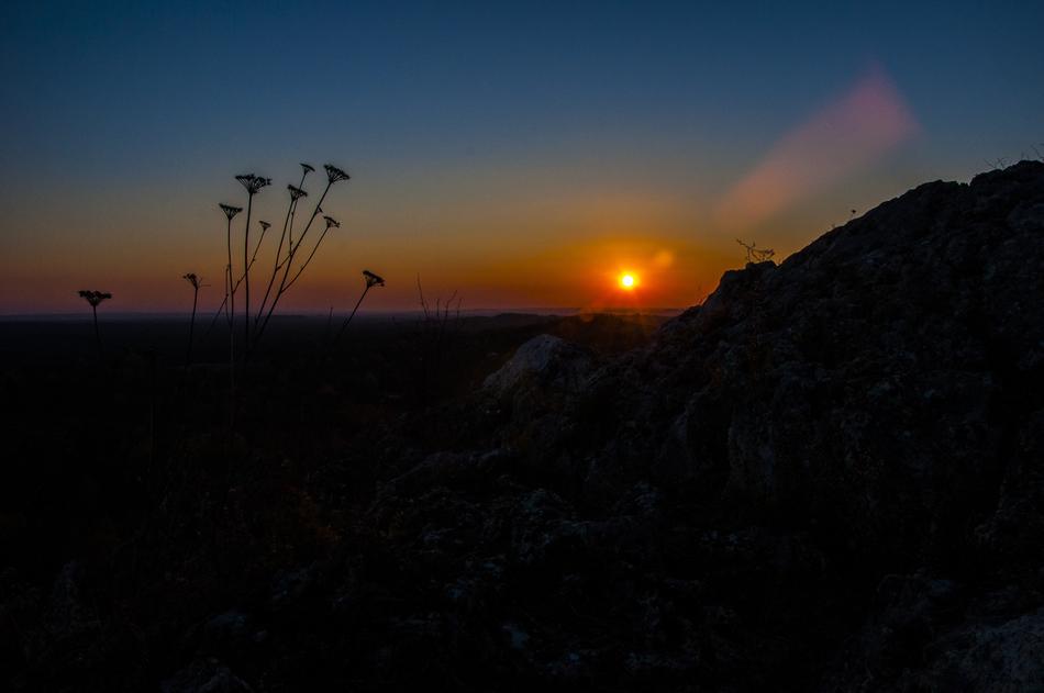 Sunset Nature Forest Castle