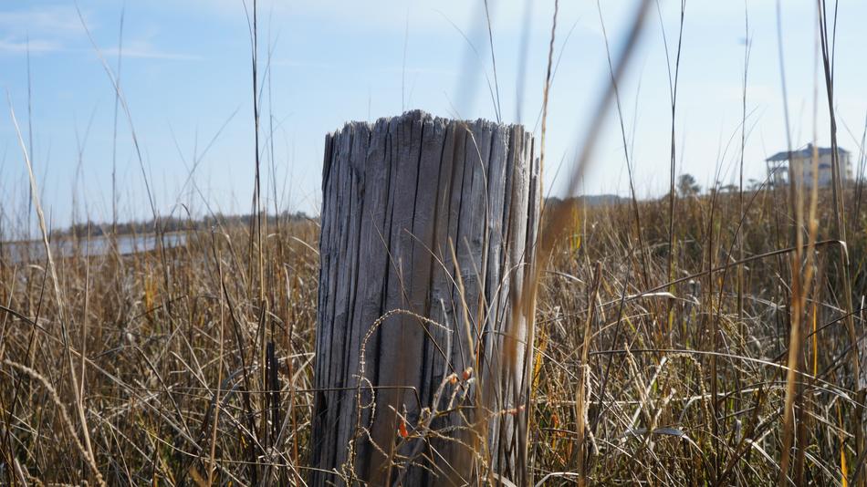 Beach Coast Post