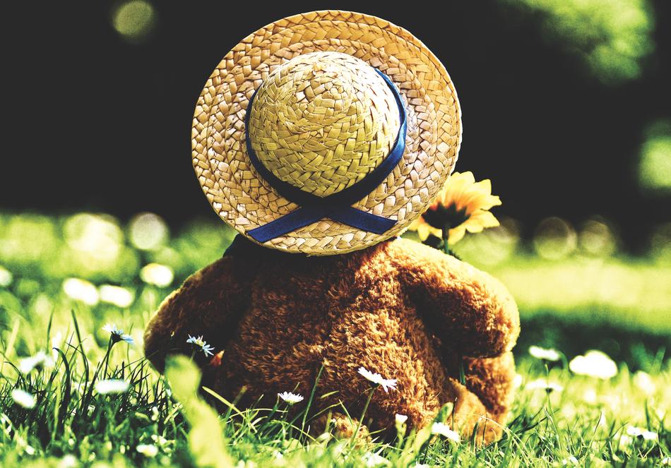 Teddy Bear Bears Stuffed