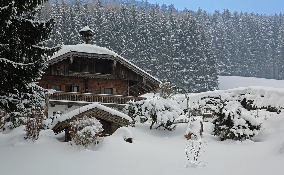 Winter House Trees