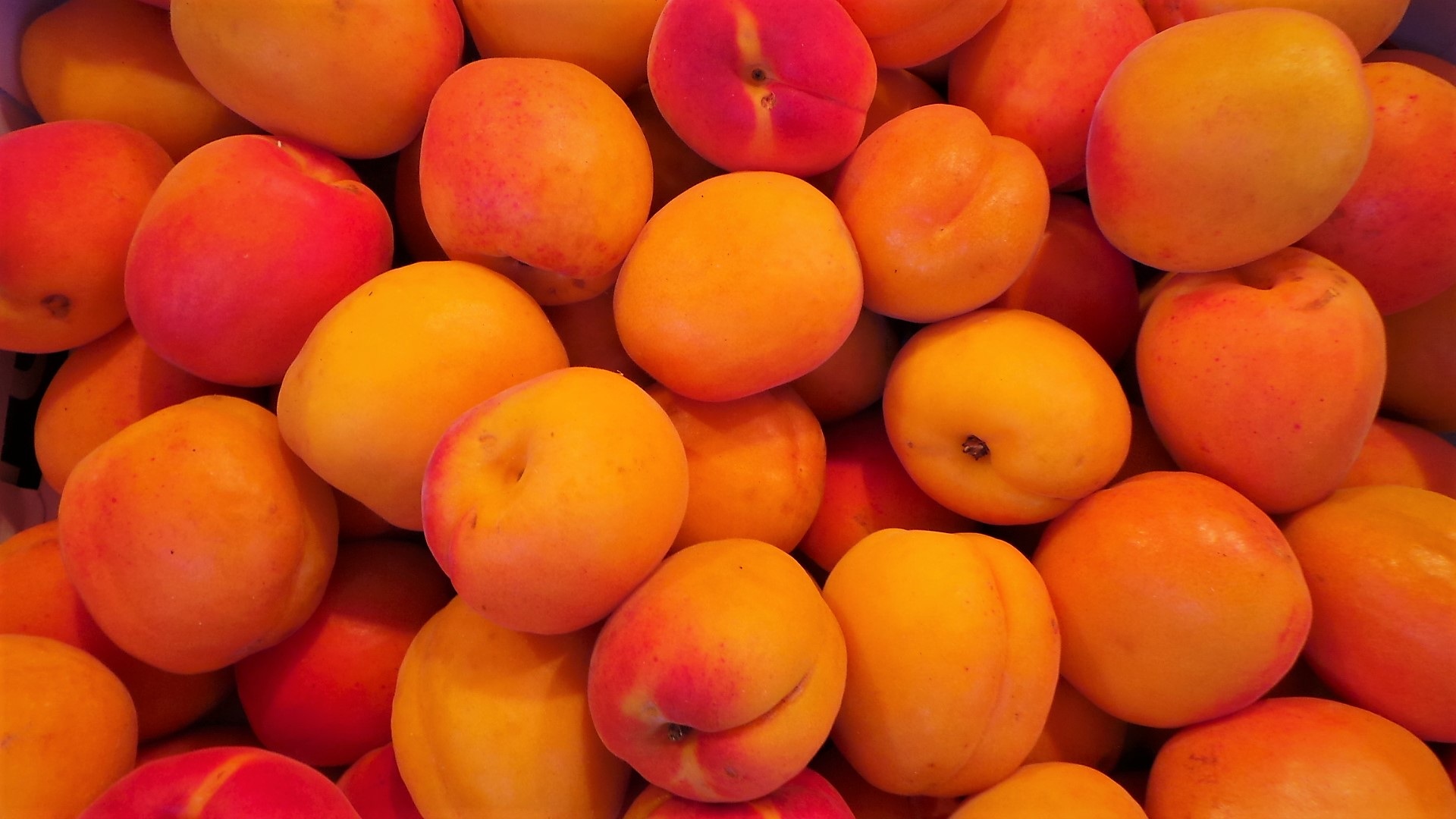 Армянские фрукты абрикосы