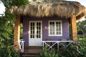Style Full Color Decorate