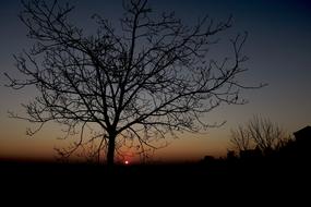 Sunset Romantic Romance