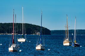 Ocean Sail Boat