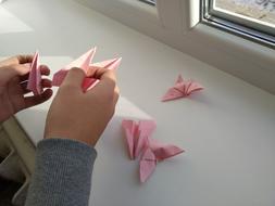 Person, making beautiful, pink airplanes, near the window