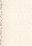 background a4 cream flowers