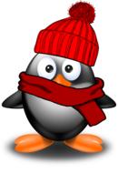 penguin winter cold bird funny