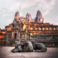 Angkor Wat Guard Dog Temple