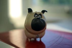 Dog Small Cute