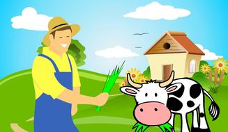farmer cow grass eating animal