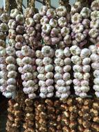 selling ripe garlic on the wall