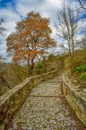 Path Cobblestone Cobbled