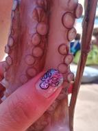 octopus in a girl hand