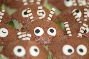Fun chocolate chip cookies