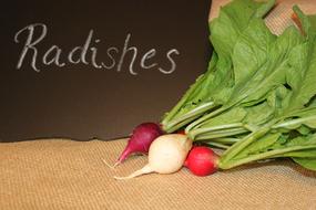 ripe radishes are delicious