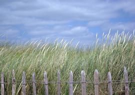 Dawlish Warren Devon Beach