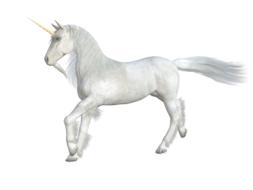 unicorn horse mythical creatures