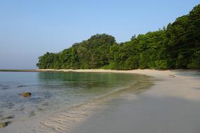 Beach Sea Radhanagar scenery