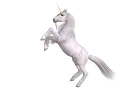 horse unicorn animal horn creature