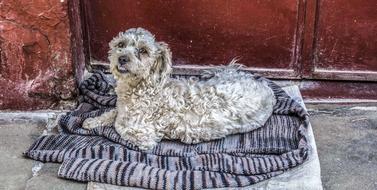 San Jeronimo De Surco Peru Lime