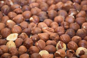 ripe hazelnuts harvest