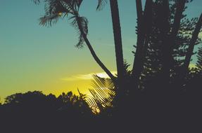 Sunset Outdoor Nature
