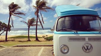 Palm Trees Beach Vibes Ocean