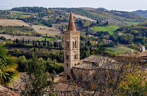 Campanile Urbino Brands