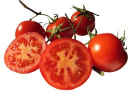 sliced tomatoes on a white background