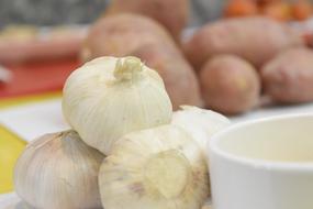 ripe garlic and gravy