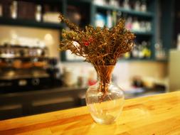 dry plants in a vase