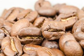 Closeup of raw coffee beans