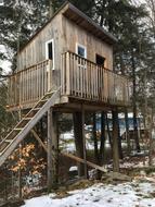 Cabin Tree