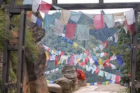 Prayer Flags Bhutan