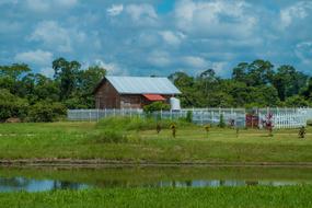 farmhouse on a green field