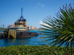 Tug Boat Bahamas Water