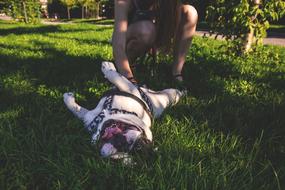 Animals Adorable Beautiful