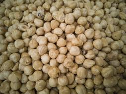 Tasty healthy hazelnuts