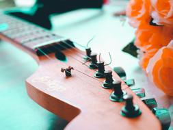 Guitar Instrument and orange flower