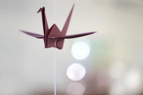 Origami Crane Fold