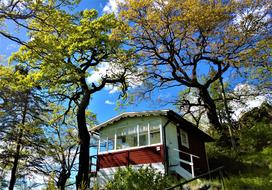 hill Cottage in Summer