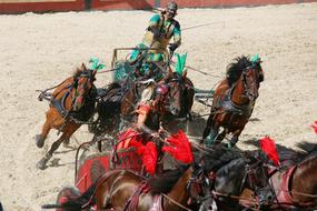 Roman Chariot Race Rome