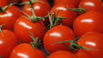 ripe juicy red tomatoes