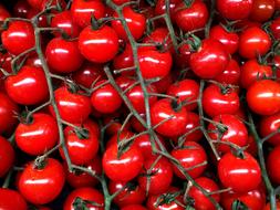 delicious tomatoes in a box at the market