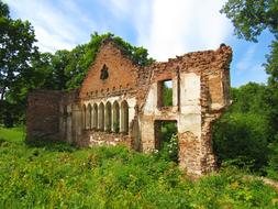 stone building with plants