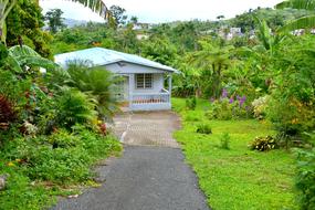 House Green Garden in puerto rico