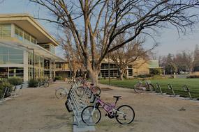 Uc Davis Bikes Campus