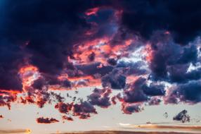 Alberta Sunset Canadian