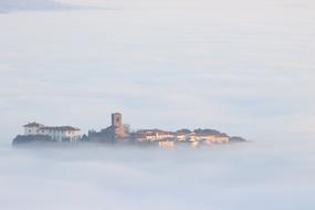 Fog Town Nature